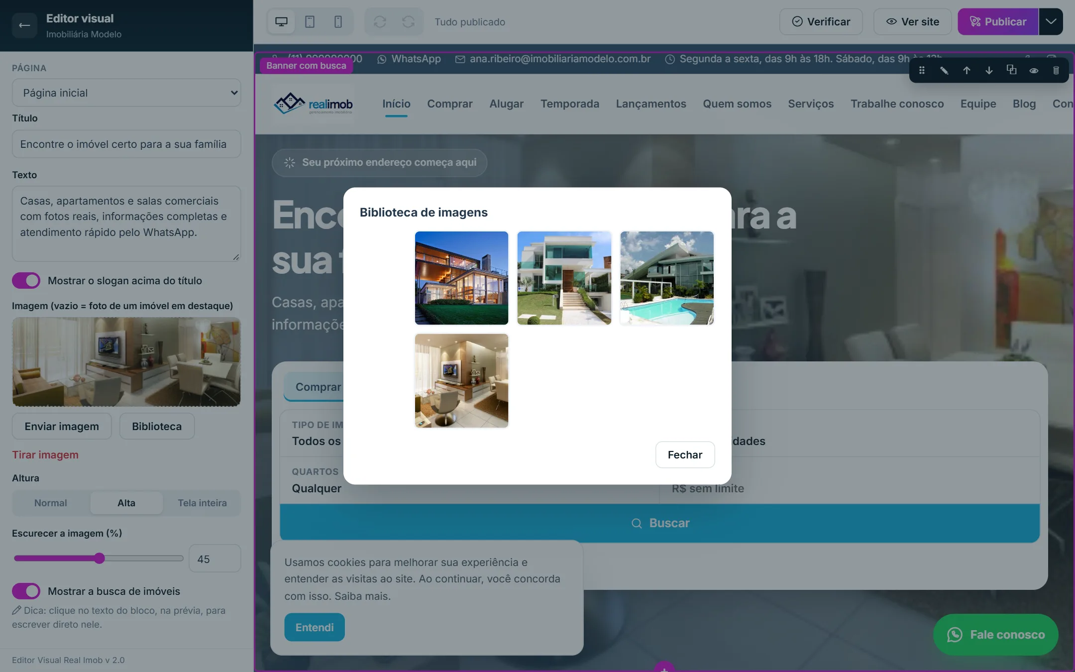 Janela Biblioteca de imagens