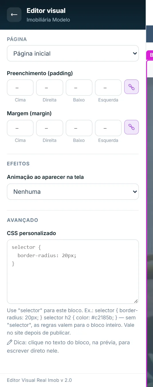 Grupo Avançado da aba Estilo com o CSS personalizado