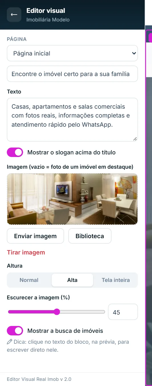 Dica no painel de opções